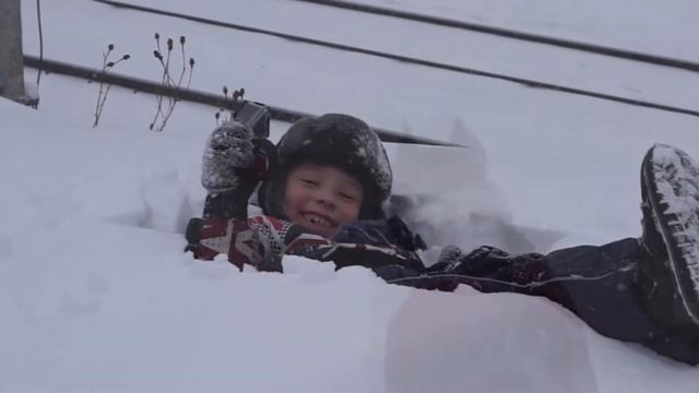 питбуль Спарта. Снежная весна 2018 смотреть онлайн
