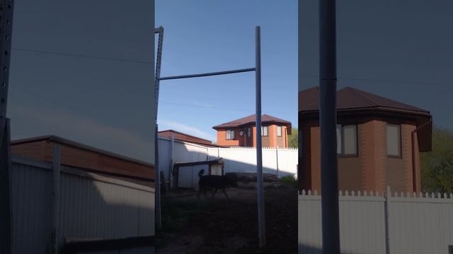 показываю как висеть на турнике верх ногами смотреть онлайн