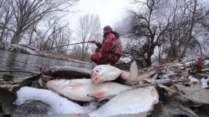 ПОПЛАВОК НЫРЯЕТ, ЛЬДОМ ПОКРЫВАЕТ. В КАНАЛЕ на поплавочную удочку зимой. Рыбалка на полавок.
