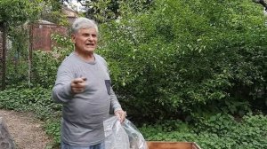 Размножение пчел. Как легко создать новую пчелиную семью