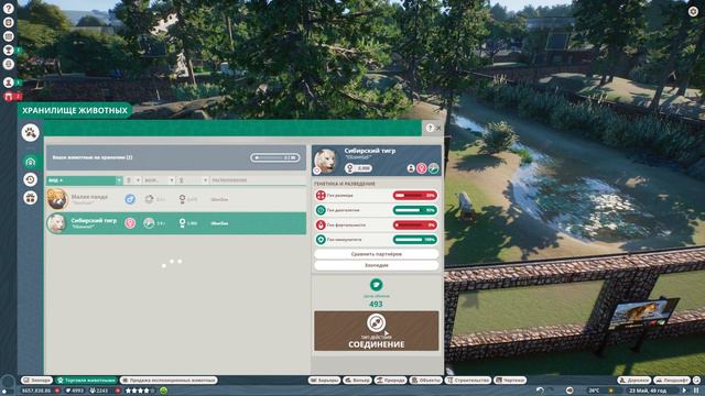 БОЛЬШЕ МЕДВЕДЕЙ! | #16 Planet Zoo смотреть онлайн