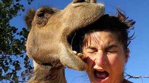 ЗАСМЕЯЛСЯ ПОДПИСАЛСЯ | Тест на Психику Челенж | ЛУЧШИЕ ПРИКОЛЫ