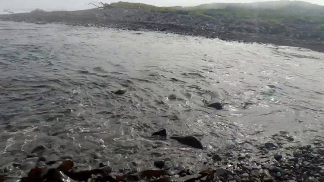 Озерный рай любви