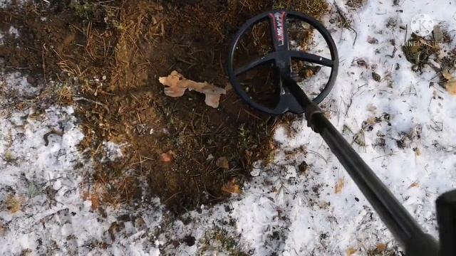 DEUS 2 FMF. 60см на пробку смотреть онлайн