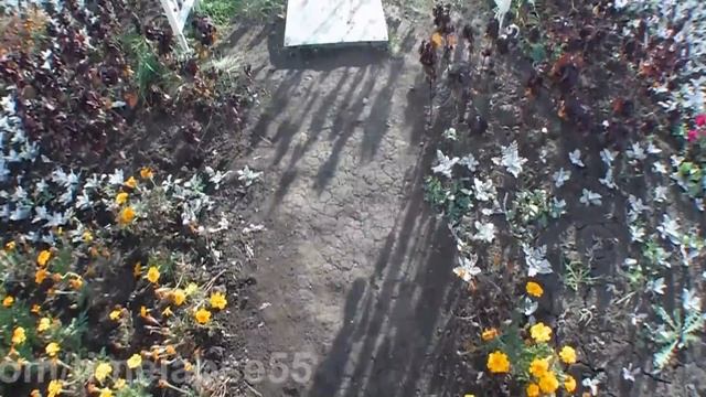 #timelapse55 Пешие прогулки по достопримечательностям Омска глядя под ноги -1 смотреть онлайн