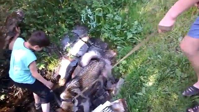 Керлегеш Кемеровская область смотреть онлайн