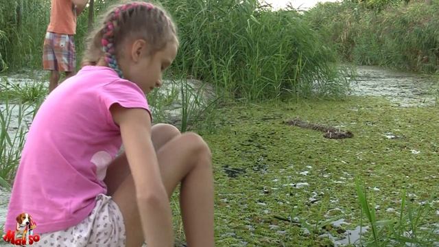 В поисках Болотного Монстра. Чем опасно болото. смотреть онлайн