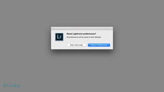 Clearing the preferences file in Lightroom Classic смотреть онлайн