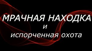 МРАЧНАЯ НАХОДКА и ИСПОРЧЕННАЯ ОХОТА