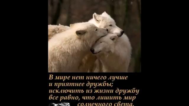 Дружба не бывает виртуальной смотреть онлайн