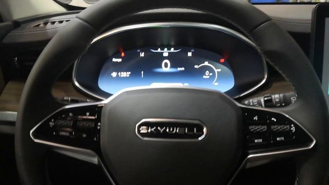 Skywell Et5 Interior?