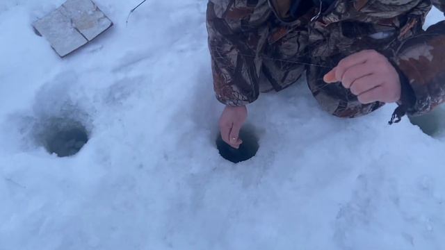 Зарыбление форели, смотреть онлайн