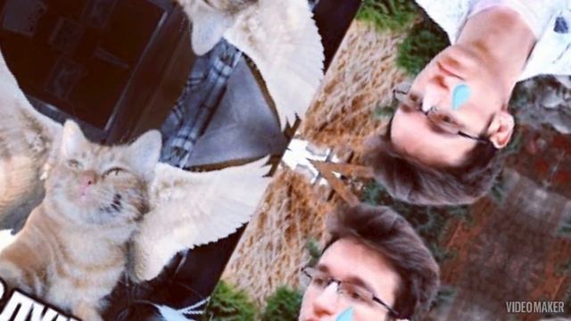 симбочка младший и старший и их хозяин!🥰 #симбочка #светлая память Симбочке смотреть онлайн