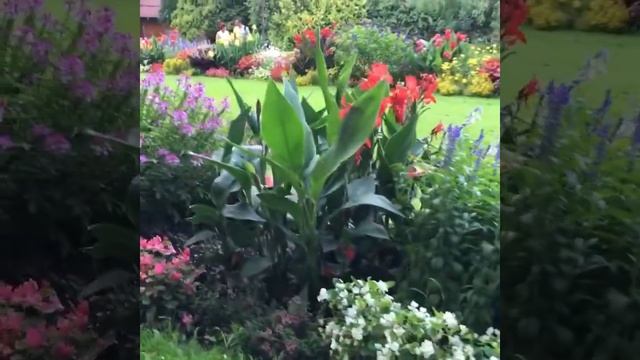 Курортный городок Хевиз Венгрия смотреть онлайн