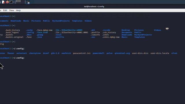 How To uninstall PyCharm From Kali Linux смотреть онлайн