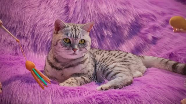 Whiskas Purr More 2023