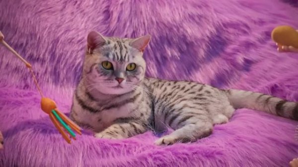 Whiskas Purr More 2023