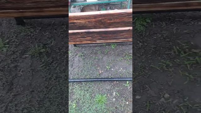 Ремонтные Историки