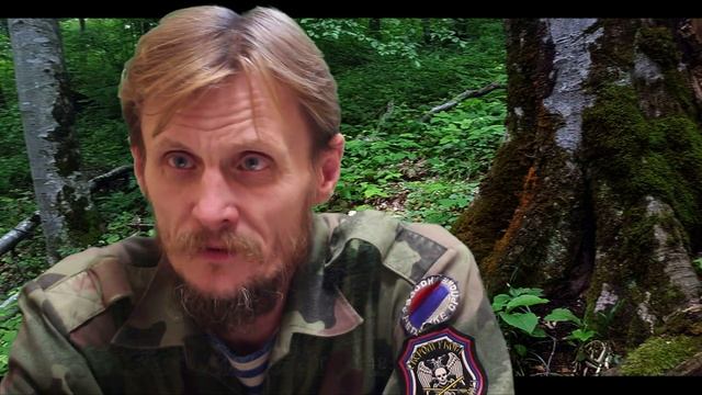 Безопасность при встрече с животными в лесу смотреть онлайн