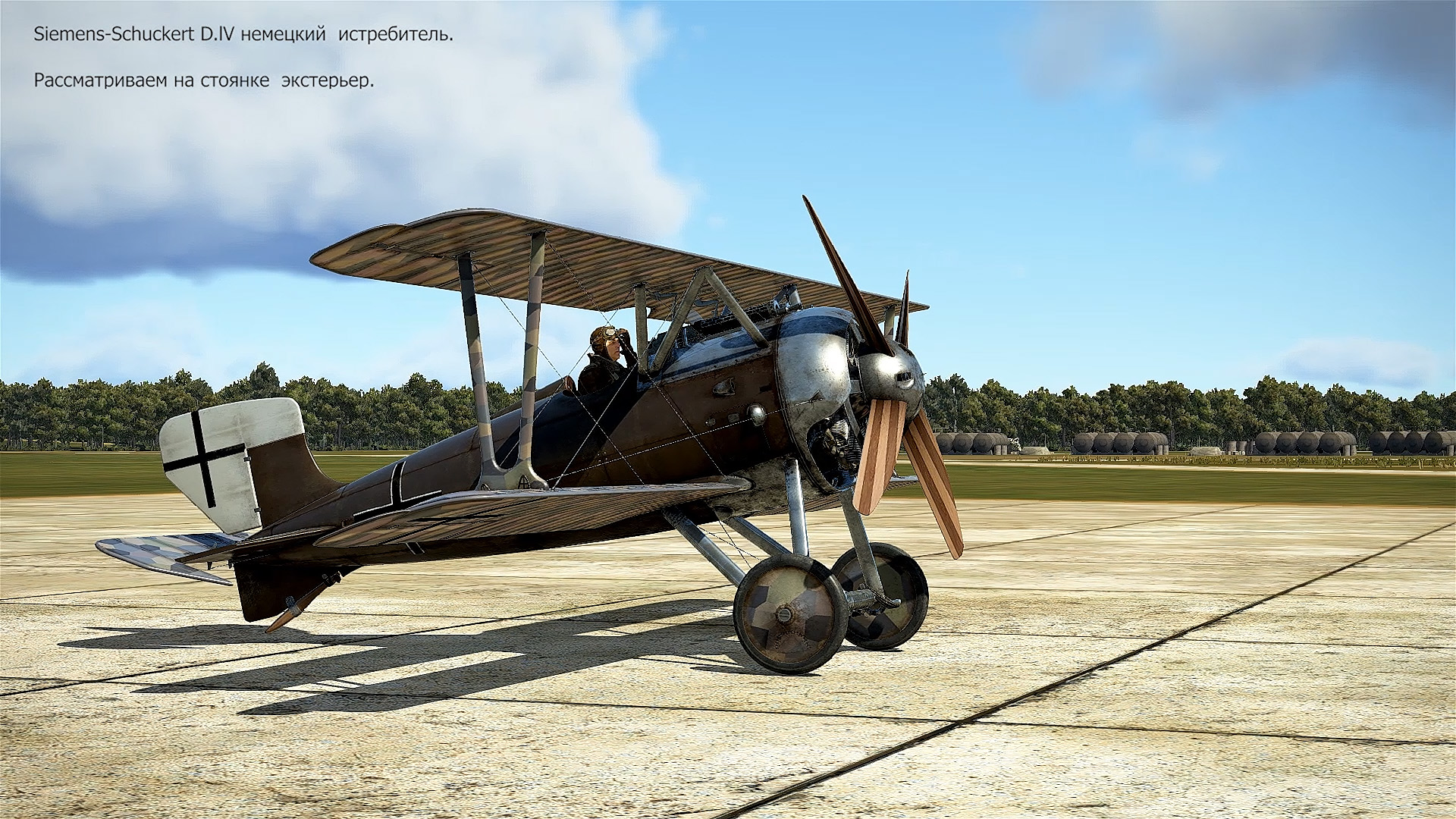 Siemens-Schuckert D.IV немецкий истребитель. Симулятор «Flying Circus – Volume ll».