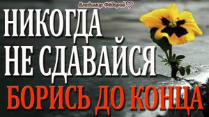 Никогда Не Сдавайся и Борись До Конца! Мотивирующая Притча «Ослик в Колодце!»