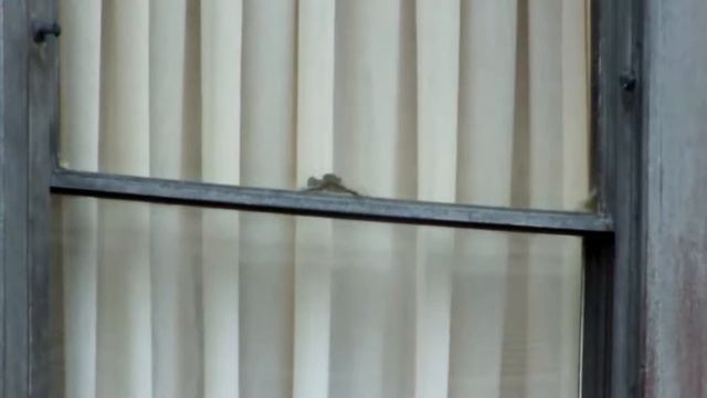 Fuji HS20 video sample смотреть онлайн