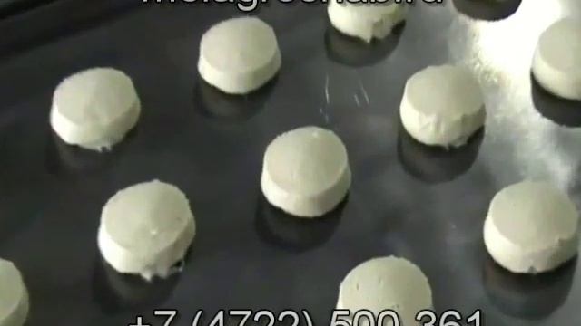 Машина для формирования тестовых заготовок И8-ШФЗ смотреть онлайн