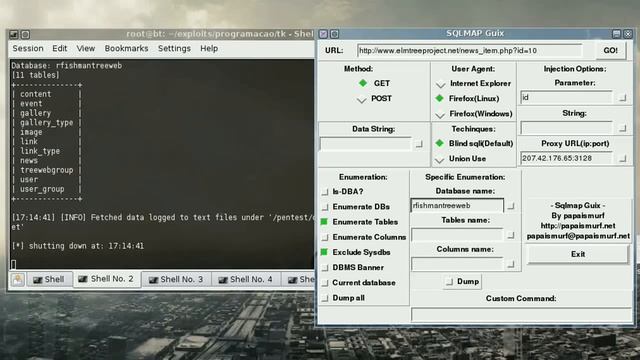 Sqlmap Guix смотреть онлайн