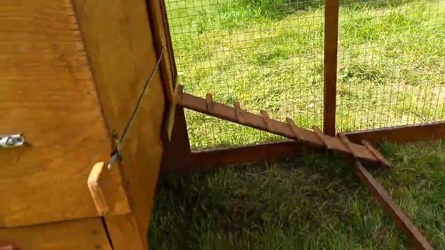 Куриный трактор на 6 куриных силы