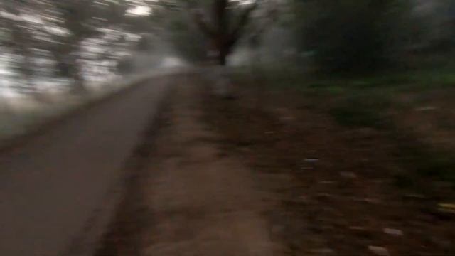 Ассам. Национальный парк Казиранга. Сафари на слонах. смотреть онлайн