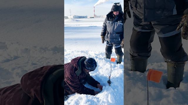 В ОЖИДАНИИ ЧУДА 🦈 #подледнаярыбалка #зимняяловлярыбы #жерлица смотреть онлайн