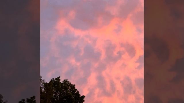 Cotton Candy смотреть онлайн