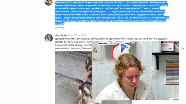 Питание кошки, Пателла, Роял Канин, чем кормить котенка? ВетОтвет 11-2 смотреть онлайн