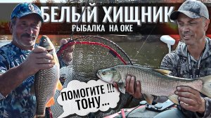 Белый хищник на Оке. Поиск жереха, голавля. СПАСЛИ ТОНУЩЕГО....