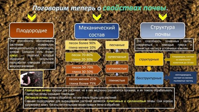 Почвы