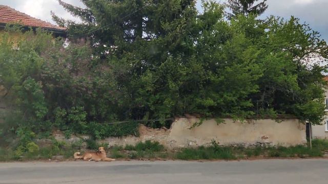 Переезд в Болгарию из Канады. Прогулка в Софии, селе. смотреть онлайн