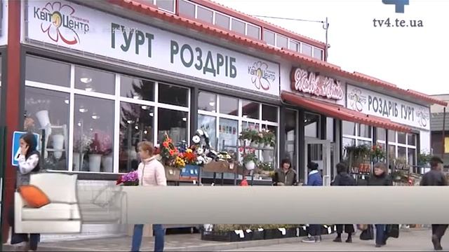 Затишок у домі, вибір кімнатних рослин. - Школа домашнього комфорту, 09.03.2017 смотреть онлайн