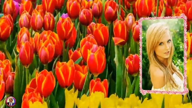 Мой цветок. смотреть онлайн