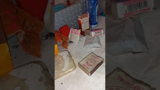 уборка в домике сквиши собачек?? смотреть онлайн