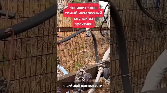 Почему индусов не бьёт током? #энерголикбез #секрет #тайна смотреть онлайн