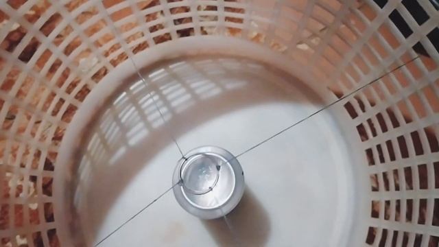 Как сделать СЛАДКУЮ ВАТУ при помощи ДРЕЛИ. Сладкая вата в домашних условиях. смотреть онлайн