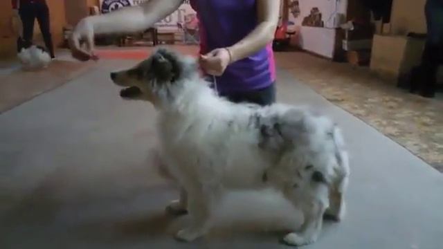 Прованс занятия смотреть онлайн