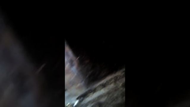 Свинья ломает пол