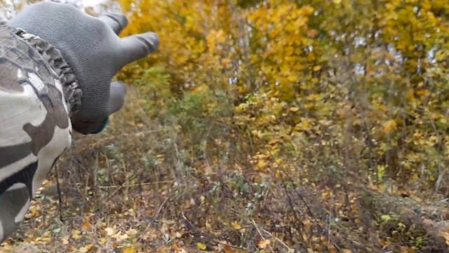 Нашёл Место по КАРТАМ! Полевой СТАН??? Коп металла с QUEST X5 (22.10.22) смотреть онлайн