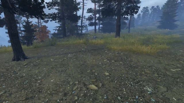 Dayz Standalone. Выживание. (Серия №22 - Голодный день!)