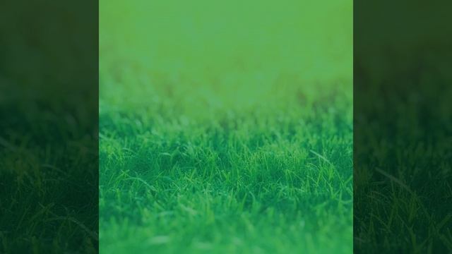 Атмосфера (Спа Массаж)