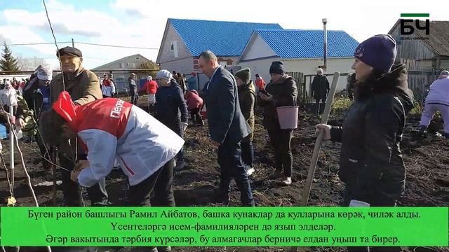 В Новом Ильмове появился яблоневый сад смотреть онлайн