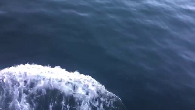 Поехали на пароме по Мраморному морю в город Ялово/Стамбул/Турция