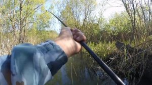 Голавль и плотва на боковой кивок в мае