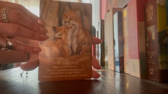Today’s tarot is from my Spirit of the Animals Oracle Deck ?? смотреть онлайн